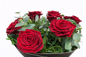 Red Rose Bouquet